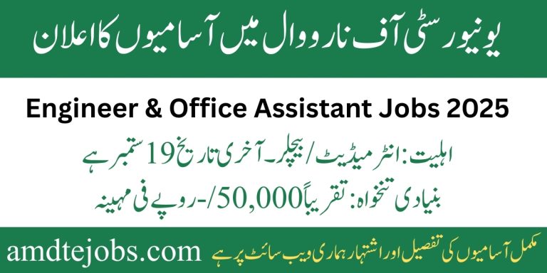 University of Narowal Jobs 2025